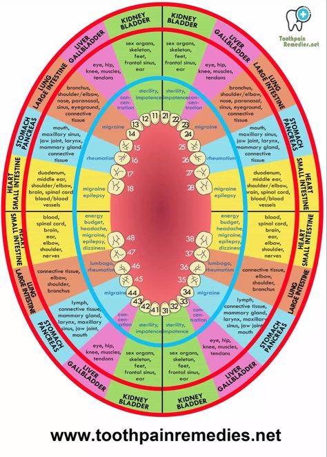 Le Mal A Dit, Tooth Pain Remedies, Wisdom Teeth Pain, Tooth Pain Relief, Holistic Dentistry, Remedies For Tooth Ache, Tooth Chart, Health Chart, Nutrition Chart