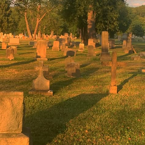 Graveyards Aesthetic, Sunny Graveyard, Graveyard Reference, Graveyard Beautiful, Pretty Cemetery, Gravestone Aesthetic, Aesthetic Cemetery, Lamb Character, Beautiful Graveyard