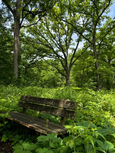 sitting- nature- bench- green Collage Furniture, Bench Photography, Whiskey Business, Sitting Bench, Hidden Forest, Personal Investigation, Short Play, Project Board, Grass Field