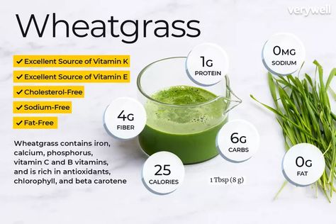 Wheatgrass Nutrition Facts and Health Benefits Wheatgrass Benefits, Calories In Vegetables, Wheatgrass Powder, Dark Green Vegetables, Balanced Meal Plan, Ldl Cholesterol, Wheat Grass, Vitamin K, Improve Digestion