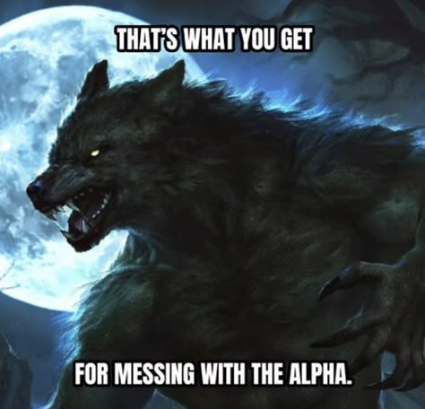 Im The Alpha, Sigma Wolf, Redacted Audio, Alpha Male Quotes, Alpha Quotes, Leah Clearwater, Memes God, Alpha Quote, Male Quotes