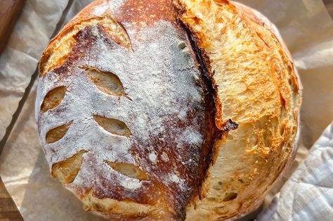 Homemade Artisan Sourdough Loaf - Daddio's Kitchen Beginners Bread Recipe, Artisan Sourdough, Sourdough Loaf, Dutch Oven Bread, Sourdough Baking, Sourdough Bread Recipe, Loaf Recipes, Easy Bread Recipes, Baking Mixes