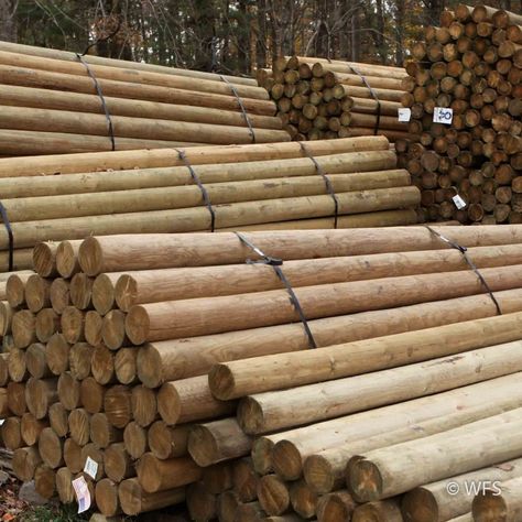 Wire Fences, Tree Stakes, Cedar Posts, Sunset Hills, Pressure Treated Wood, Farm Fence, Wooden Poles, Wooden Posts, Sheep Farm