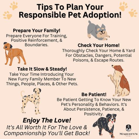 Dog Adoption Event, Adoption Ideas, Adopt Dog, Dog Profile, Shelter Ideas, Animal Education, Pet Life, Positive Reinforcement, Cat Health