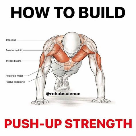 Bodybuilder Motivation, Gym Nutrition, Hour Workout, Latissimus Dorsi, Simple Exercise, Chest Muscles, Shoulder Muscles, Fitness Photos, Workout Memes