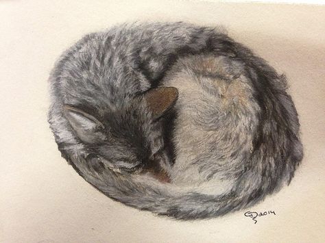 Sleeping wolf in soft pastels. Charmaine Diedericks Sleeping Wolf Illustration, Wolf Soldier, Wolf Sleeping, Sleeping Wolf, Wolf Illustration, Wolf Pup, Doll Houses, Spirit Animal, Soft Pastel