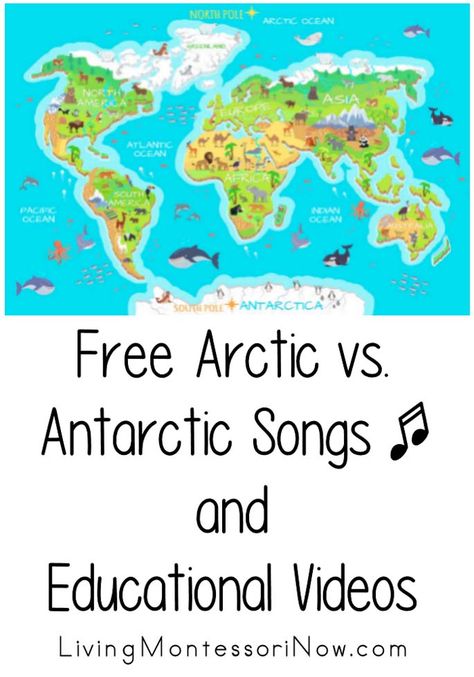 A roundup of free Arctic and Antarctic songs and educational videos for a variety of ages; perfect for home or classroom. Antarctica For Preschoolers, Arctic Vs Antarctic For Kids, Arctic And Antarctic Activities, Antarctica Activities For Kids, Polar Animals Activities, Winter Animals Kindergarten, Antarctica Activities, Polar Animals Preschool, Arctic Habitat