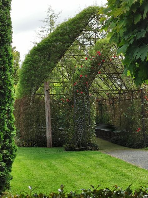 Gallery — TreeChurch Green Pergola, Conservatory Exterior, Spiritual Gardening, Eco Camp, Canopy Walkway, Flower Shop Design, Willow House, Backyard Greenhouse, Garden Arches