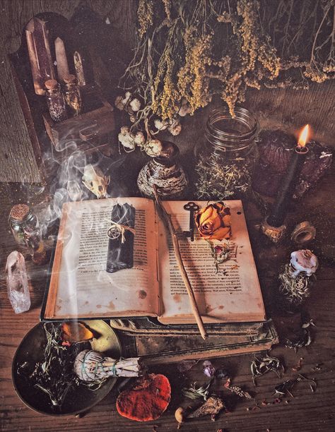 Witchy Academia, Arte Occulta, Witch Room, Witch Core, Magic Aesthetic, Witch Magic, Season Of The Witch, Foto Vintage, Witch Art