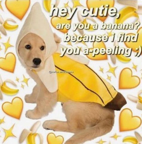 Flirty Memes, Heart Meme, Cute Love Memes, Crush Memes, Cute Messages, Lovey Dovey, Relationship Memes, Wholesome Memes, Cute Memes