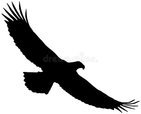 Eagle Shilouette, Eagle Silhouette Flying, Eagle Attacking, Bird Silhouette Tattoos, Berg Tattoo, Vogel Silhouette, Eagle Artwork, Aigle Royal, Eagle Silhouette