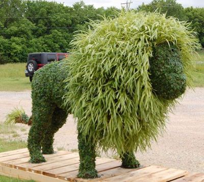 art topiaire avec de la sphaigne et des vegetaux Farm Playground, Topiary Animals, Plant Sculpture, Chicken Wire Sculpture, Topiary Garden, Moss Art, Italian Garden, Topiaries, Backyard Diy Projects