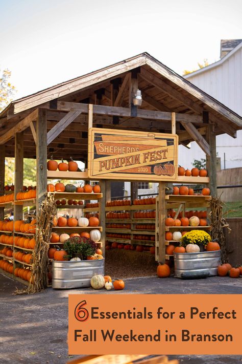 Branson Missouri Fall, Branson In October, Branson Missouri In The Fall, Branson In The Fall, Branson Missouri Vacation Things To Do Fall, Ranching Life, Branson Missouri Vacation, Roadside Stand, Branson Vacation