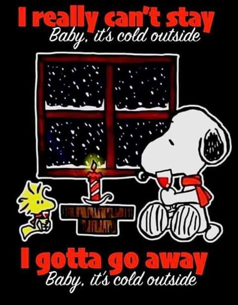 Baby it cold outside Peanuts Illustration, Woodstock Peanuts, Snoopy Cartoon, Peanuts Comic Strip, Snoopy Funny, Snoopy Images, Peanuts Cartoon, Snoopy Wallpaper, Snoopy Quotes