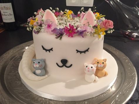 Cat With Birthday Cake Cat Cake Birthday Cake Ideas In 2018 Pinterest Cake Cat Party Cat Cake Birthday, Birthday Cake Cat, Cat Birthday Cake, Kitten Cake, Cat Cakes, Cake Cat, Kitten Birthday Party, Birthday Cake For Cat, Kitten Party