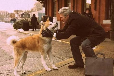 Vivimos en un mundo, donde se puede confiar mas en una mascota, que en un ser humano. Hachiko A Dog's Story, Hachiko Dog, Hachi A Dogs Tale, Japanese Dog Breeds, Joan Allen, A Dog's Tale, Pets Movie, Japanese Akita, Movie Recommendations