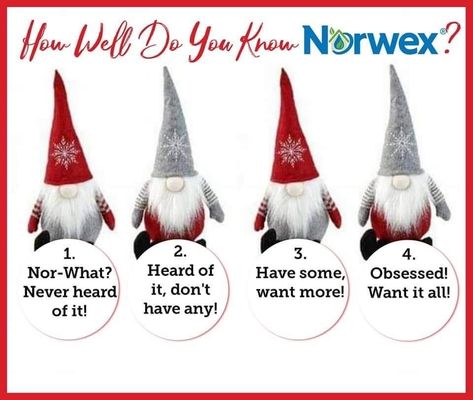 Norwex Christmas, Norwex Microfiber, Norwex Cleaning, Online Parties, Christmas Party, Christmas