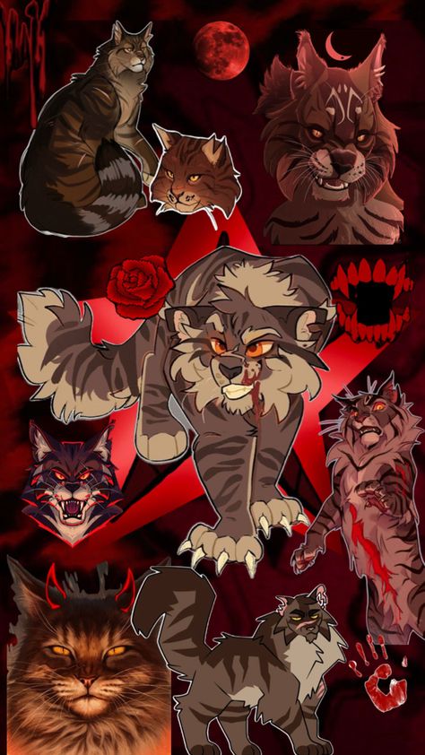 Warrior cats Tigerstar collage Warrior Cats Tigerstar, Warrior Cats Pfp, Cats Collage, Cats Pfp, Future Wallpaper, Scary Art, Warrior Cat, Warrior Cats, Collage