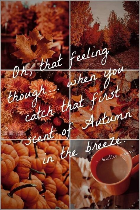 Lovers Aesthetic, Fall Lovers, Fall Mood Board, Fall Background, Healthy Fall, Winter Love, Autumn Scenery, Fall Feels, Harvest Season