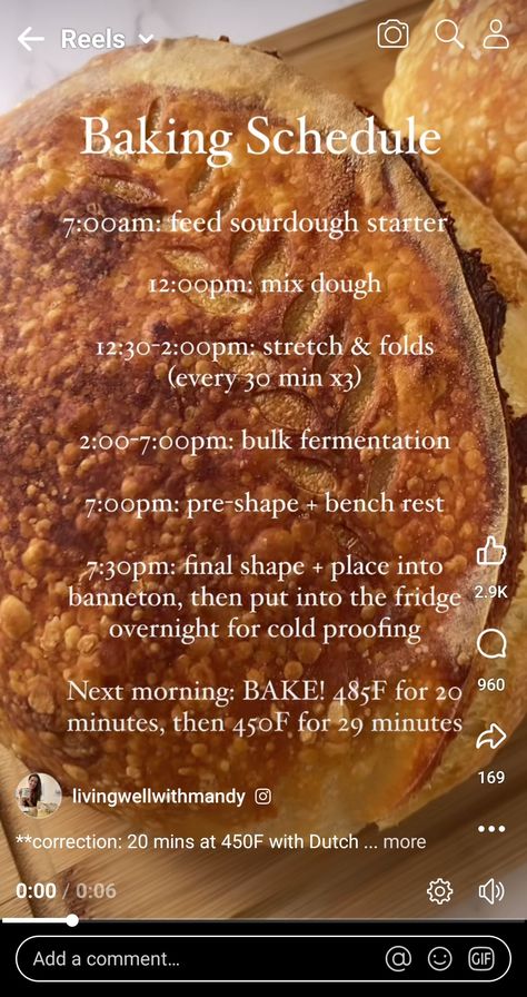 Baking Schedule, Best Sourdough Starter Recipe, Homemade Sourdough Bread Recipes, Micro Bakery, Sourdough Breads, Easy Sourdough Bread Recipe, Recipe Using Sourdough Starter, Sourdough Bread Starter, Sourdough Recipe