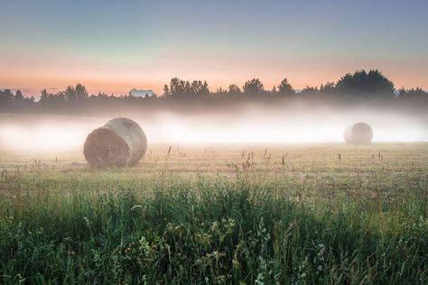 Estonian summer night Estonian Summer, Summer Nights, Paradise, Mood Board