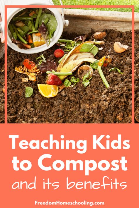 Teaching Kids to Compost and Its Benefits Science Activity For Kids, Making A Compost Bin, How To Compost, Science Activity, Science Activities For Kids, Garden Help, School Garden, Soil Improvement, Activity For Kids