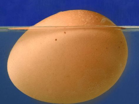 Egg freshness, tips to tell if an egg is rotten - NewsBreak Use Up Eggs, Rotten Egg, Broken Egg, Floating In Water, Fresh Eggs, An Egg, Sangria, Refrigerator, To Tell