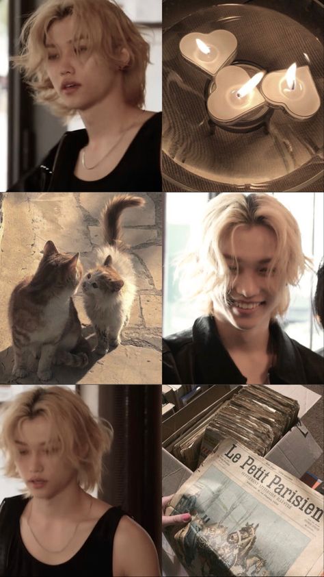 Felix Beige Aesthetic, K Pop Collage Aesthetic, Beige Cute Wallpaper, Brown Skz Wallpaper, Skz Wallpaper Collage, Felix Wallpaper Collage, Felix Skz Wallpaper Aesthetic, Cute Felix Wallpaper, Kpop Aesthetic Collage