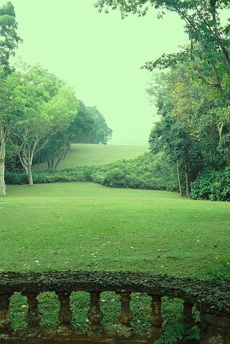 Bentota Sri Lanka, Geoffrey Bawa, Nature Garden, Green Garden, Green Space, English Garden, Dream Garden, Landscape Architecture, Garden Inspiration