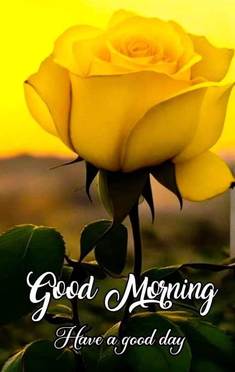 Good Morning Dp, Good Morning Photography, Wallpaper Editing, Good Morning Gif Images, Good Morning Clips, Happy Good Morning Images, Good Morning Massage, Good Morning Tea, Good Morning Love Gif