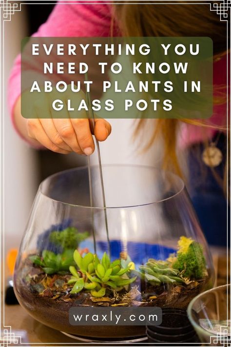 Planting In Glass Containers, Clear Planter Ideas, Plants In Clear Pots, Succulents In Glass Containers, Plants In Glass Containers, Plants In Glass Bowl, Plants In Glass Jars, Interior Gardens, Succulents In Glass