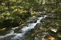 How to Put Rocks in the Bank of a Creek to Prevent Erosion thumbnail My Side Of The Mountain, Luxury Garden Design, Picture Backdrop, Rocks Landscaping, Creek Bed, Far Side, Garden Drawing, Garden Wedding Decorations, Garden Design Plans