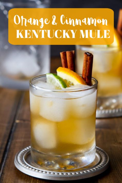 Kentucky Mule, Bbq Drinks, Bourbon Cocktail Recipe, Winter Cocktails Recipes, Cocktail Recipes Whiskey, Whisky Cocktail, Coctails Recipes, Mule Cocktail, Fall Cocktails Recipes