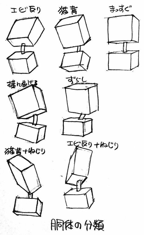 Box Body Drawing, Human Anatomy Basic Shapes, Gesture Drawing Shapes, Basic Structure Drawing, Anatomy Box Method, How To Draw Head Shapes, Box Method Drawing, Body Structure Drawing Anatomy Reference, Practicing Anatomy