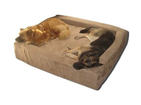 The Comfort Nest Memory Foam Bolster Dog Bed features a BioMedic memory foam center cushion plus a bolster on all four sides. The bolsters are capped with BioMedic foam providing a memory foam surrounding pillow! BioMedic memory foam dog beds are not only the most comfortable sleep surface ever invented for your dog, they are also much denser than other dog beds. BioMedic memory foam dog beds perfectly balance the orthopedic support foam necessary to ease sore aching joints with the incredible Double Dog Bed, Giant Dog Beds, Big Dog Beds, Cheap Dog Beds, Dog Bed Sizes, Dog Cots, Round Dog Bed, Bolster Dog Bed, Covered Dog Bed