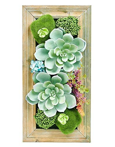 Succulent Frame, Framed Plants, Beautiful Terrariums, Privacy Fence Designs, Succulent Wall Art, Kitchen Decorations, Hanging Succulents, Wall Art Flower, Diy Wall Art Decor