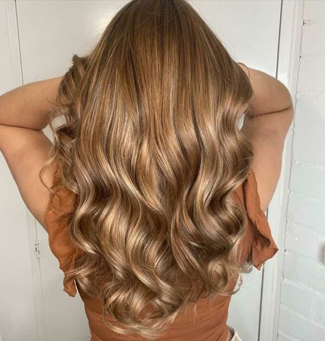 Honey Tones Hair, All Over Golden Brown Hair Color, Light Brown Without Highlights, Honey Gold Hair Color, Golden Beige Brown Hair, Honey Gold Brown Hair, Light Brown Hair Without Highlights, Light Brown Golden Hair, Light Brown Hair With Golden Highlights