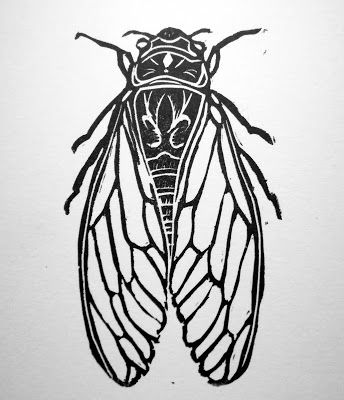 Simple Cicada Drawing, Insect Wings Drawing, Cicada Line Art, June Bug Drawing, Bug Block Print, Bugs Tattoo Insects, Simple Bug Drawing, Bug Drawing Insects, Bugs To Draw