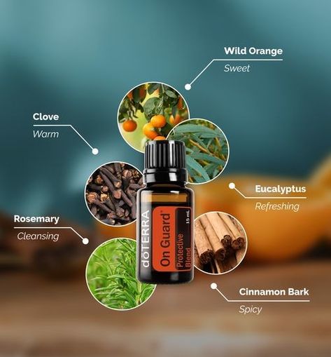 How often do you diffuse doTERRA On Guard®? I love to diffuse On Guard and Purify. At LEAST once a week...it makes my home clean and yucky free!!! House smells great and I get the internal benefits of inhaling it too!! WIN WIN!! On Guard Essential Oil, Doterra On Guard, Doterra Blends, Esential Oils, Doterra Essential Oils Recipes, Ceylon Cinnamon, Cinnamon Bark, Wild Orange, Doterra Oils