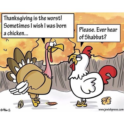 Turkey to chicken Hebrew School Activities, Good Shabbos, Jewish Quotes, Thanksgiving Cartoon, Hebrew Prayers, Shabbat Dinner, Thanksgiving Prayer, Jewish Humor, Jewish Culture