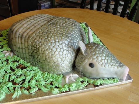 Armadillo Cake, Chocolate Line, Cake Design Inspiration, Southern Traditional, Chocolate Sponge Cake, Steel Magnolias, Cake Easy, Grooms Cake, Cake Toppings