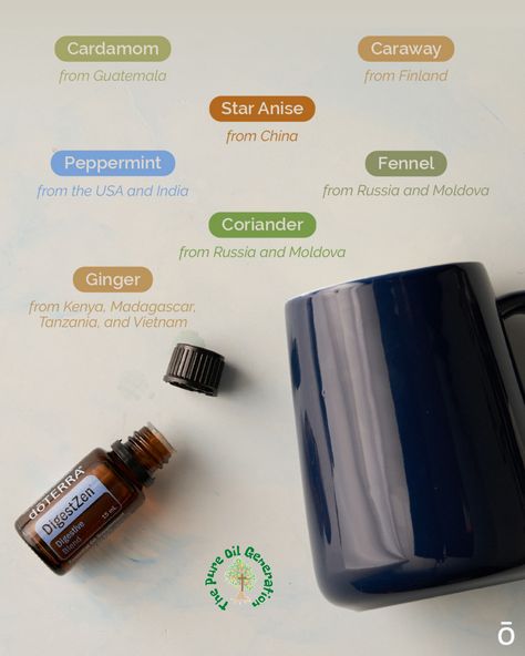 Digestzen Doterra, Personal Concierge, Cardamom Essential Oil, Fennel Essential Oil, Digestive Aid, Essential Oil Safety, Doterra Essential Oils Recipes, Essential Oil Companies, What Are Essential Oils