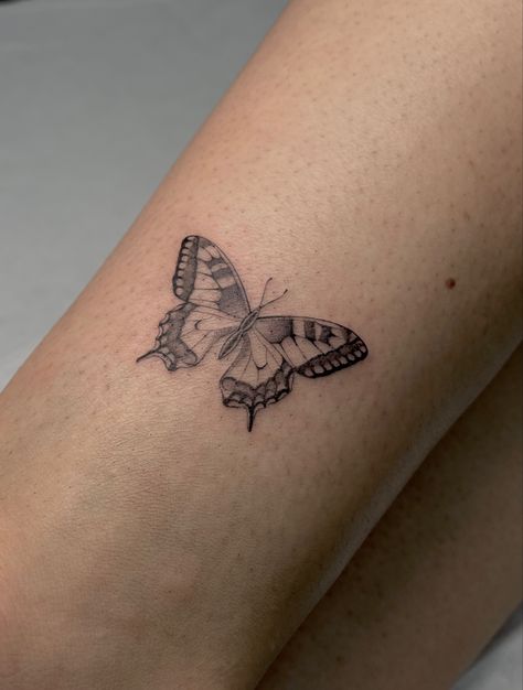 Find Line Butterfly Tattoo, Butterfly Tattoo Shading, Fine Line Tattoo With Shading, Fine Line Shading Tattoo, Monarch Fine Line Tattoo, Micro Realism Butterfly Tattoo, Boho Butterfly Tattoo, Closed Butterfly Tattoo, Find Line Tattoo