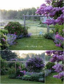 Aiken House & Gardens: A Misty Morn in the Garden Fence Backyard, Simple Backyard, House Gardens, Purple Garden, Garden Shrubs, Front Yard Landscaping Simple, Casa Exterior, Have Inspiration, Diy Landscaping