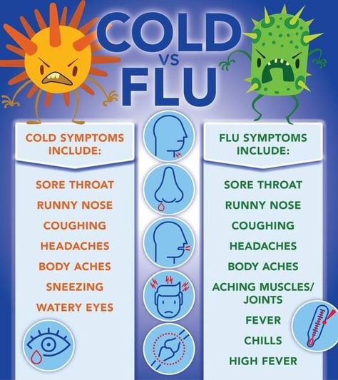 Cold vs. Flu Germ Illustration, Common Cold Symptoms, Sugar Land Texas, School Nursing, Sinus Congestion, Respiratory Illness, Cold Symptoms, Watery Eyes, High Fever