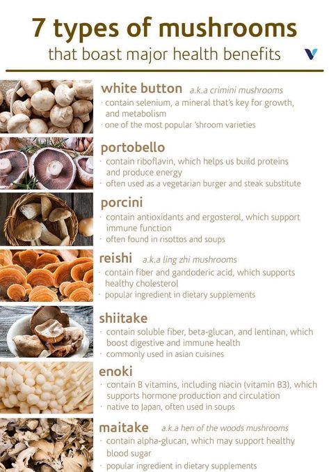 Health Benefits Of Mushrooms, Mushroom Varieties, Mushroom Benefits, Crimini Mushrooms, Health Cleanse, Vegetarian Burger, Health Routine, Herbal Healing, Herbs For Health