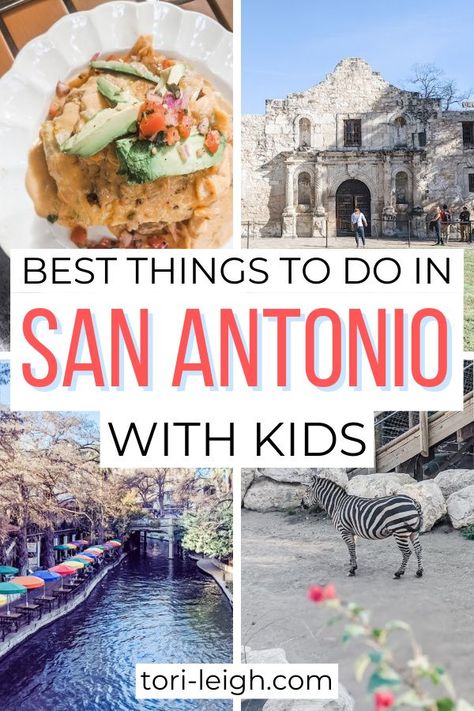 San Antonio Riverwalk Things To Do, Tejas Rodeo San Antonio, San Antonio Zoo Texas, What To Do In San Antonio, Unique Things To Do In San Antonio, San Antonio Family Vacation, San Antonio Tx Things To Do, Things To Do In Texas With Kids, Things To Do In San Antonio With Kids