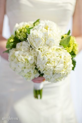 . Green Hydrangea Bouquet, White Hydrangea Bouquet, Hydrangea Bouquet, Hydrangeas Wedding, Green Hydrangea, Purple Wedding Flowers, White Wedding Flowers, Trendy Flowers, Floral Inspiration