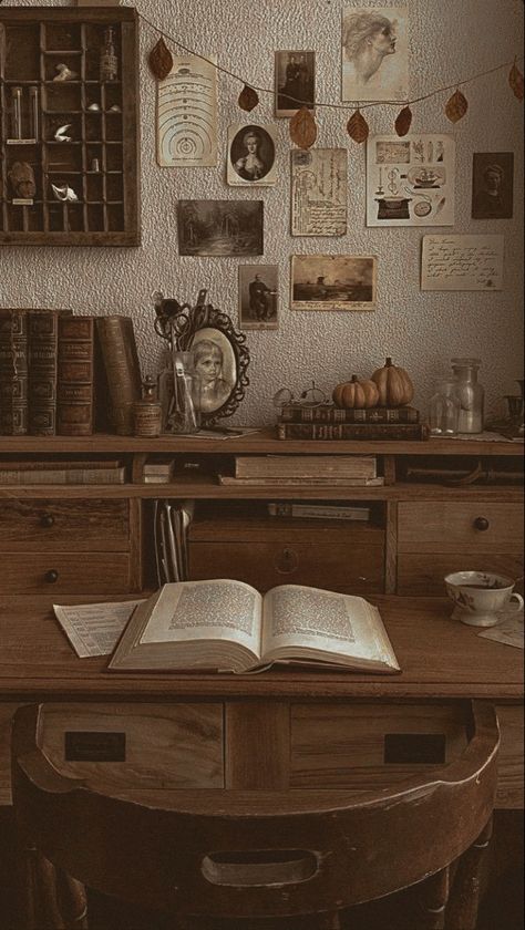 Dark Academia Room Ideas, Bedroom Moody, Dark Academia Room, Apartment Bedroom Ideas, Baddie Apartment, Academia Room, Productive Work, Dark Academia Decor, Apartment Bedroom