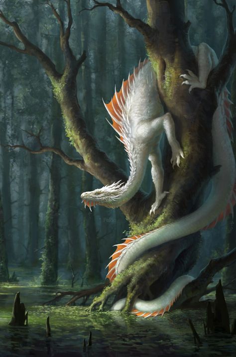 Personaje Fantasy, Dragon Artwork Fantasy, Legends And Myths, Mythical Animal, Beautiful Dragon, 다크 판타지, Dragon Pictures, White Dragon, Fantasy Creatures Art